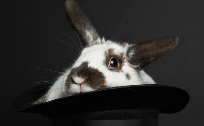 Untitled design (68)